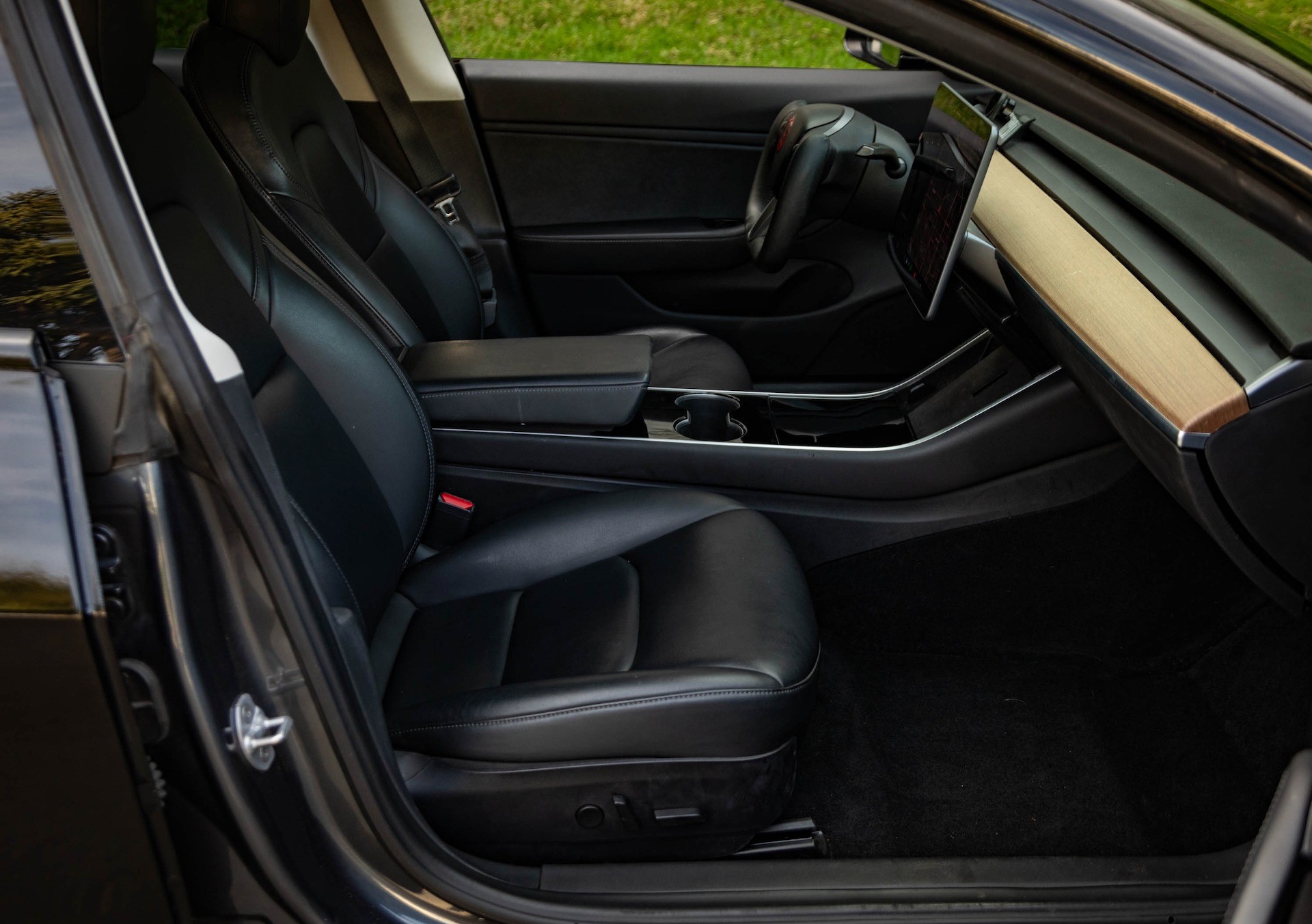 2019 Tesla Model 3 - Plate 12